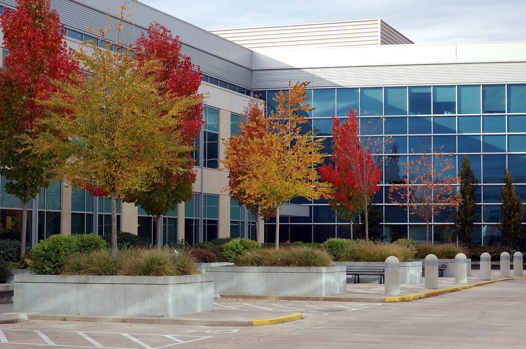 SavATree office