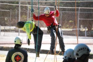 tree safety and training