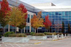 industrial an commercial tree service