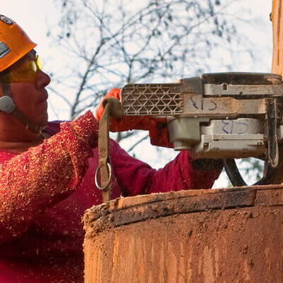 large tree removal service