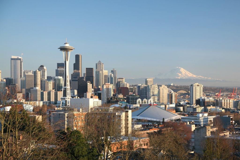 Tree Care Company in Seattle